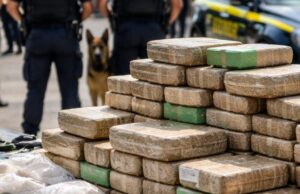 Salerno, traffico di droga dal Sud America: 8 arresti e maxi sequestro di 180 chili Salerno, traffico di droga dal Sud America: 8 arresti e maxi sequestro di 180 chili