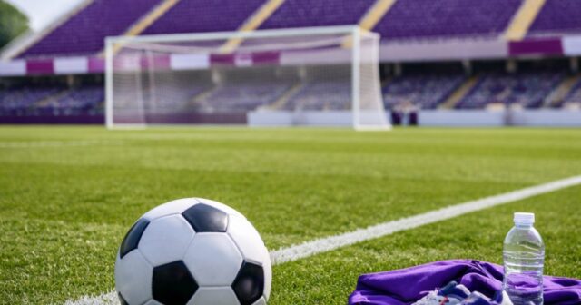 Radu Dragusin passa alla Fiorentina in prestito dal Tottenham Radu Dragusin passa alla Fiorentina in prestito dal Tottenham
