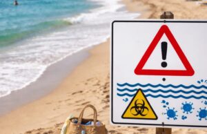 Salerno, riscontrata carica batterica elevata sulla spiaggia Universo Beach Salerno, riscontrata carica batterica elevata sulla spiaggia Universo Beach