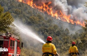 Emergenza incendi nel Cilento: fiamme a Omignano e Ascea Emergenza incendi nel Cilento: fiamme a Omignano e Ascea
