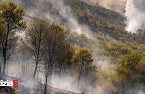 Incendio devasta oltre 20 ettari di macchia mediterranea a Ceraseto Incendio devasta oltre 20 ettari di macchia mediterranea a Ceraseto