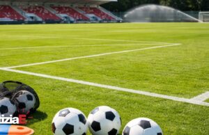 La Salernitana Primavera esordisce contro il Bari il 5 settembre La Salernitana Primavera esordisce contro il Bari il 5 settembre