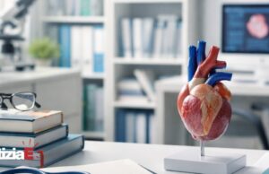 Michele Ciccarelli eletto nel Board della Heart Failure Association Michele Ciccarelli eletto nel Board della Heart Failure Association